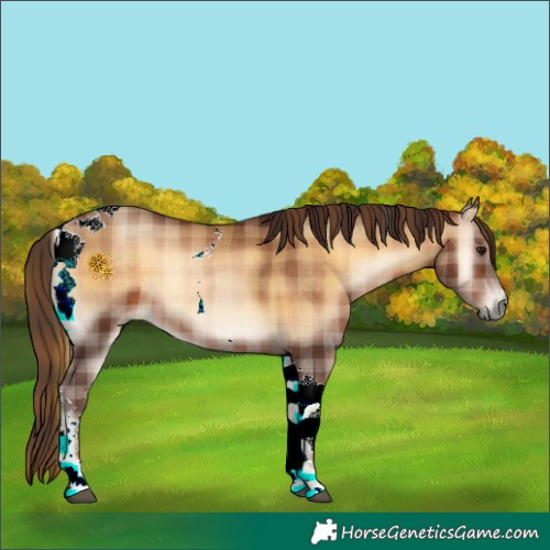 Horse Color:Gray Plaid  Bay Pearl Onyx Tobiano 