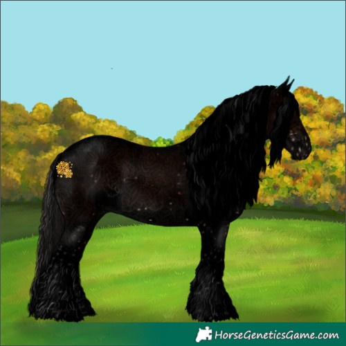 Horse Color:Void Brown Sabino Splash 