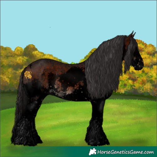 Horse Color:Void Brown Sabino Splash 