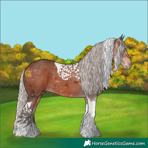 Horse Color:Silver Brown Tobiano 