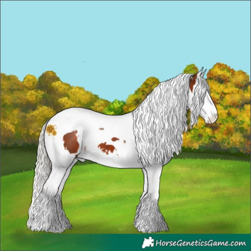 Horse Color:White Spotted Silver Brown Splash Tobiano 