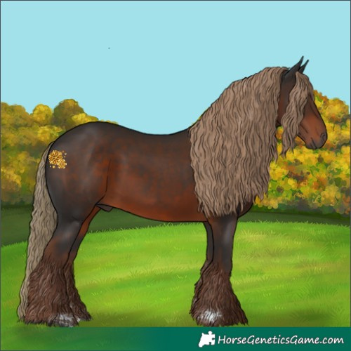 Horse Color:Gray Liver Chestnut 