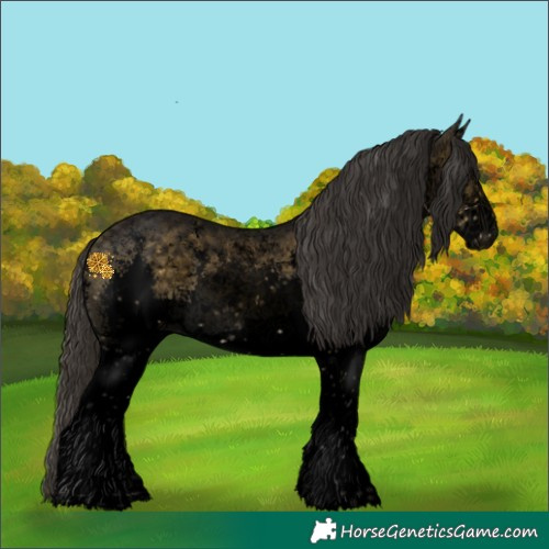 Horse Color:Void White Spotted Buckskin Sabino Splash Appaloosa 