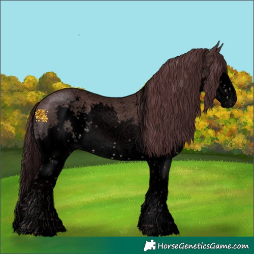 Horse Color:Void Platinum Chocolate Brown Sabino Splash 