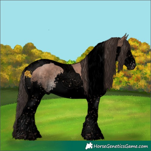 Horse Color:Void Sable Champagne Sabino Splash Tobiano 