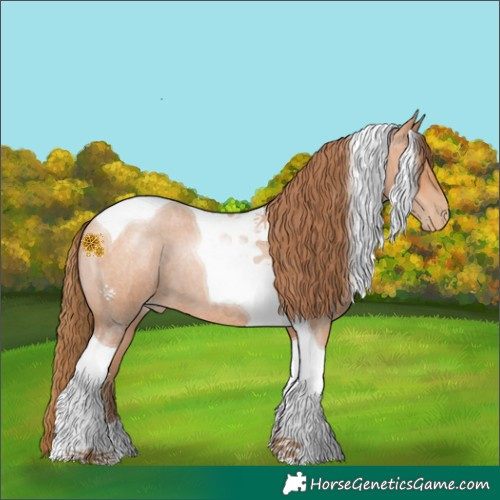 Horse Color:Bay Roan Pearl Tobiano 