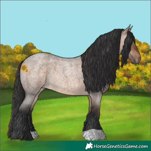 Horse Color:Brown Roan Dun Rabicano 