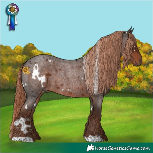Horse Color:White Spotted Liver Red Roan 