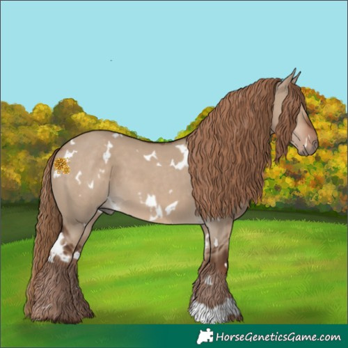 Horse Color:White Spotted Liver Red Dun 