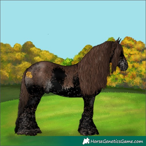 Horse Color:Void Liver Chestnut Sabino Splash Tobiano 