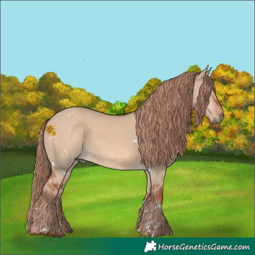 Horse Color:White Spotted Red Dun