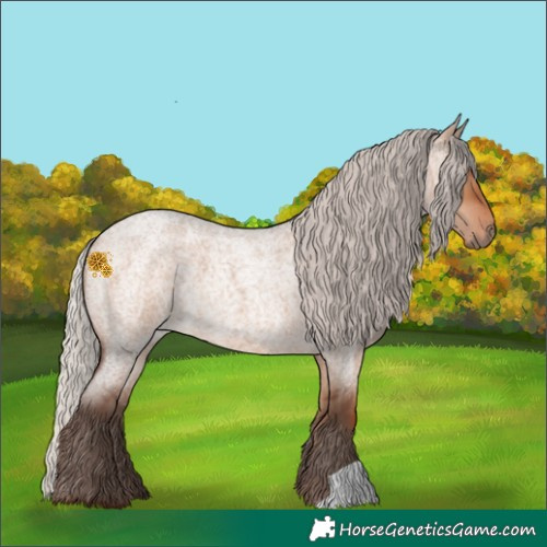 Horse Color:Silver Bay Roan Dun 