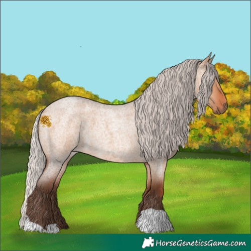 Horse Color:Silver Brown Roan Dun 