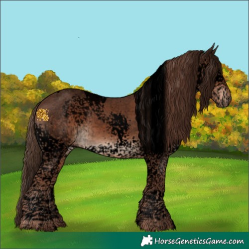 Horse Color:Void Liver Chestnut Splash Tobiano 