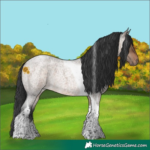 Horse Color:Brown Roan Dun Tobiano