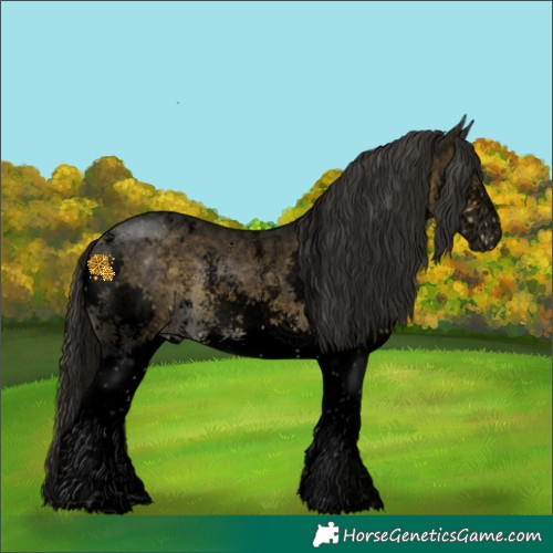 Horse Color:Void Buckskin Sabino Splash Varnish Rabicano 