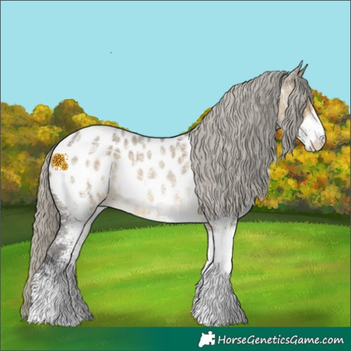 Horse Color:White Spotted Silver Buckskin Ice Roan Dun Near Leopard 