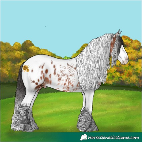 Horse Color:Brown Splash Tobiano Blanket 