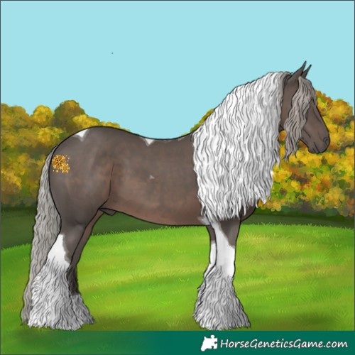 Horse Color:Silver Black Tobiano 
