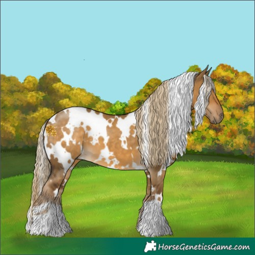 Horse Color:White Spotted Chocolate Palomino Dun 