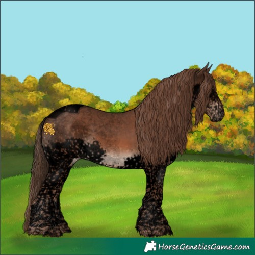 Horse Color:Void Liver Chestnut Splash Tobiano 
