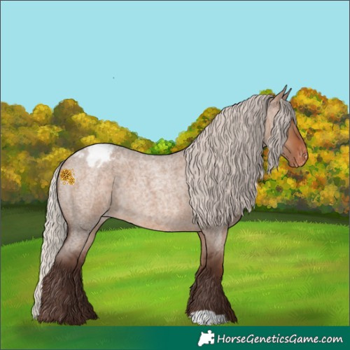 Horse Color:Silver Bay Roan Dun Varnish 