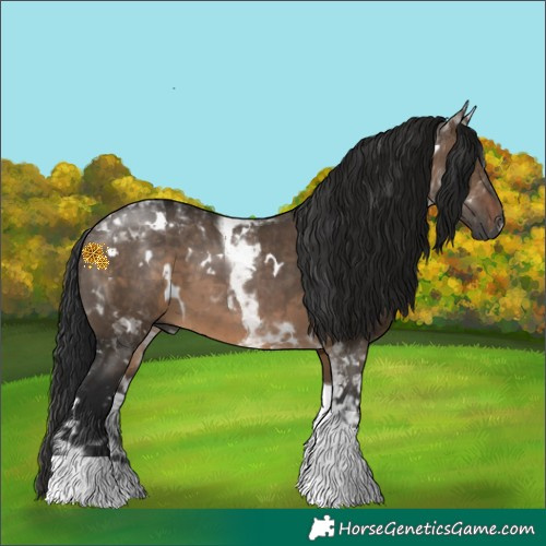 Horse Color:Gray White Spotted Brown Dun Tobiano 