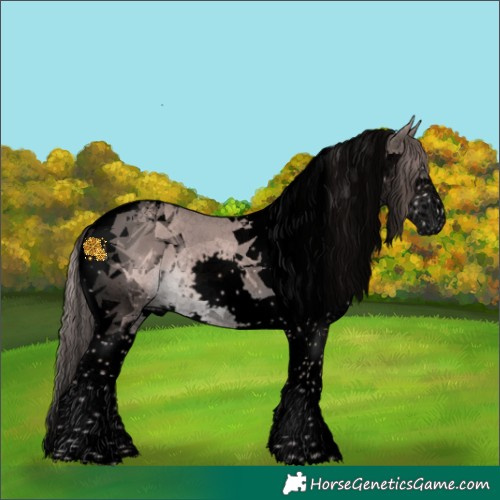 Horse Color:Void Platinum Chestnut Splash Tobiano 