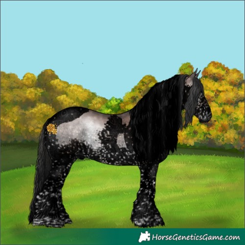 Horse Color:Void Platinum Bay Onyx Splash Tobiano 
