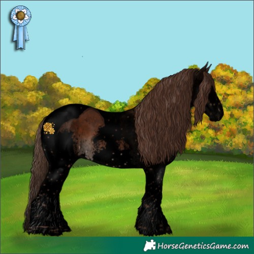 Horse Color:Void White Spotted Liver Chestnut Splash Tobiano 