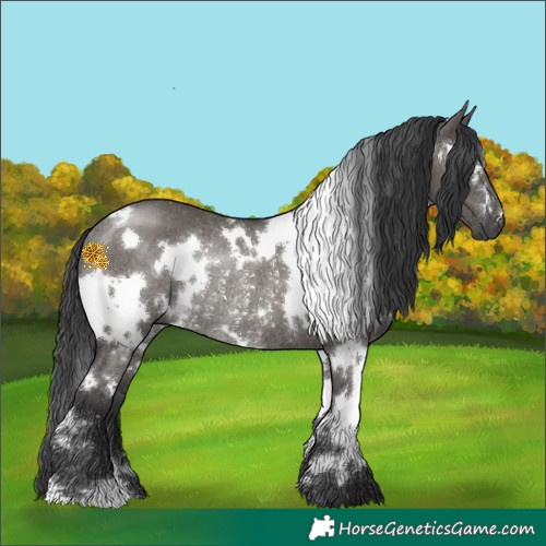 Horse Color:White Spotted Grullo Rabicano 