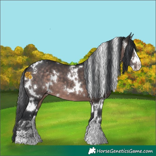 Horse Color:Platinum White Spotted Brown 