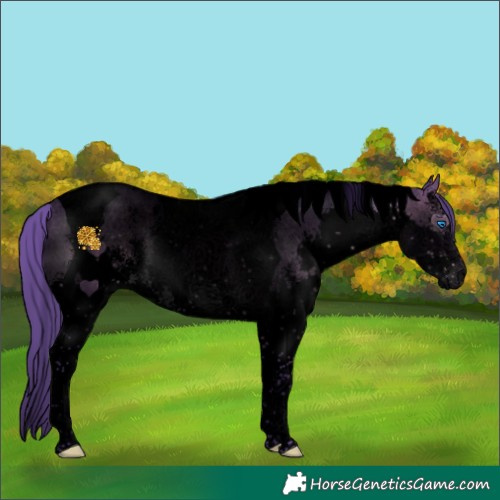 Horse Color:Void Watercolor Chocolate Brown Sabino Splash Tobiano 