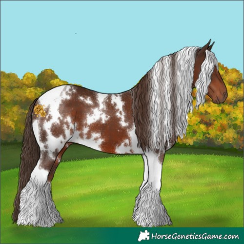 Horse Color:White Spotted Liver Chestnut Tobiano 