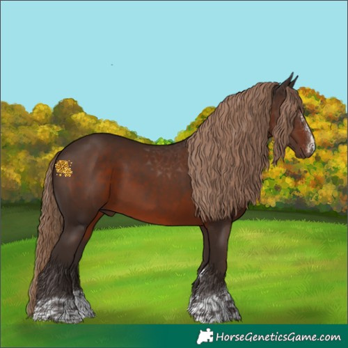 Horse Color:Liver Chestnut 