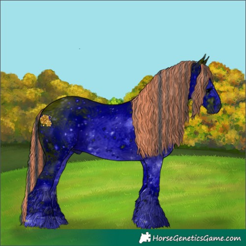 Horse Color:ERROR: UNKNOWN ANOMALY