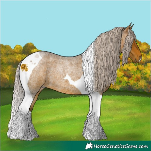 Horse Color:Silver Brown Roan Tobiano 