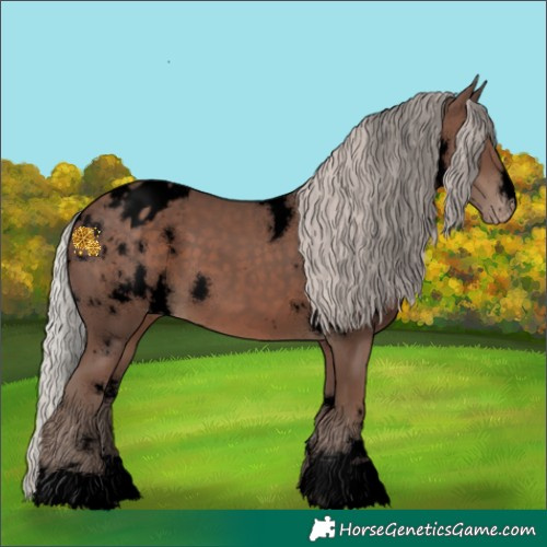 Horse Color:Void White Spotted Silver Black Appaloosa 