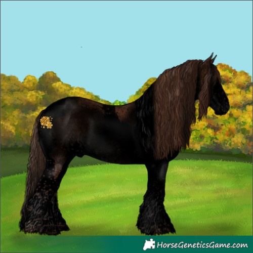 Horse Color:Void Liver Chestnut Splash Tobiano Rabicano 