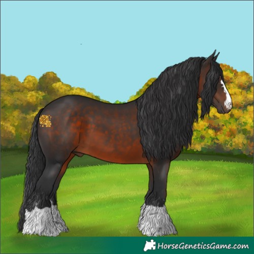Horse Color:Brown 
