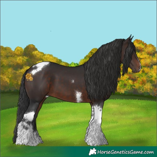 Horse Color:Brown Tobiano 