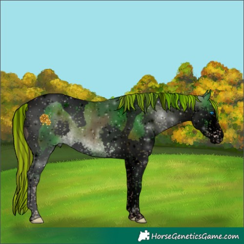 Horse Color:Void Painted Liver Chestnut Splash Tobiano 
