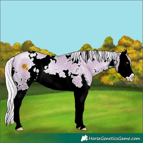 Horse Color:Watercolor White Spotted Silver Grullo Pearl Sabino Splash