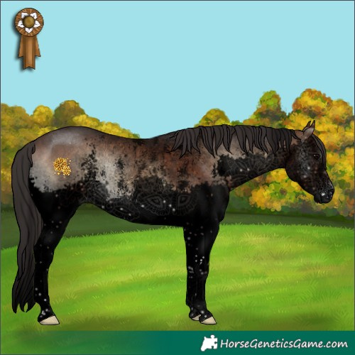 Horse Color:Void Brown Onyx Sabino Splash 