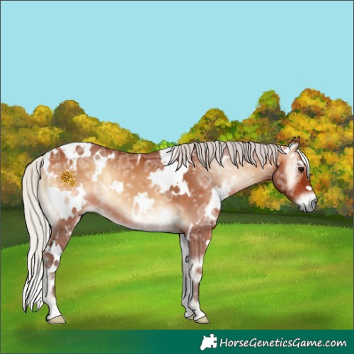 Horse Color:White Spotted Silver Bay Ice Onyx 