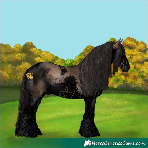 Horse Color:Void Brown Dun Splash Tobiano 
