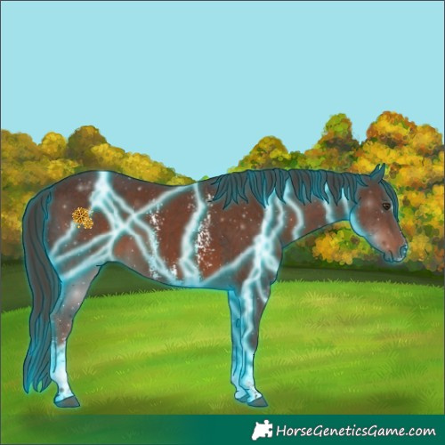 Horse Color:Thunderstruck Liver Chestnut Sabino 
