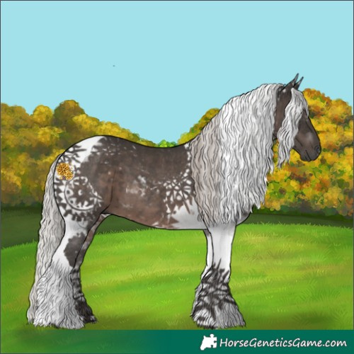 Horse Color:Gray Silver Black Tobiano 