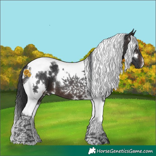 Horse Color:White Spotted Brown Tobiano 