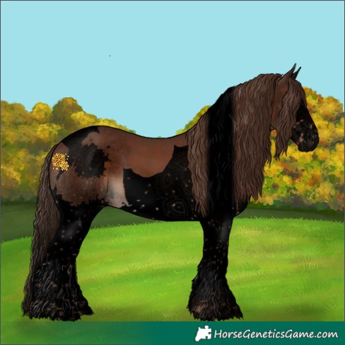 Horse Color:Void Liver Chestnut Splash Tobiano 